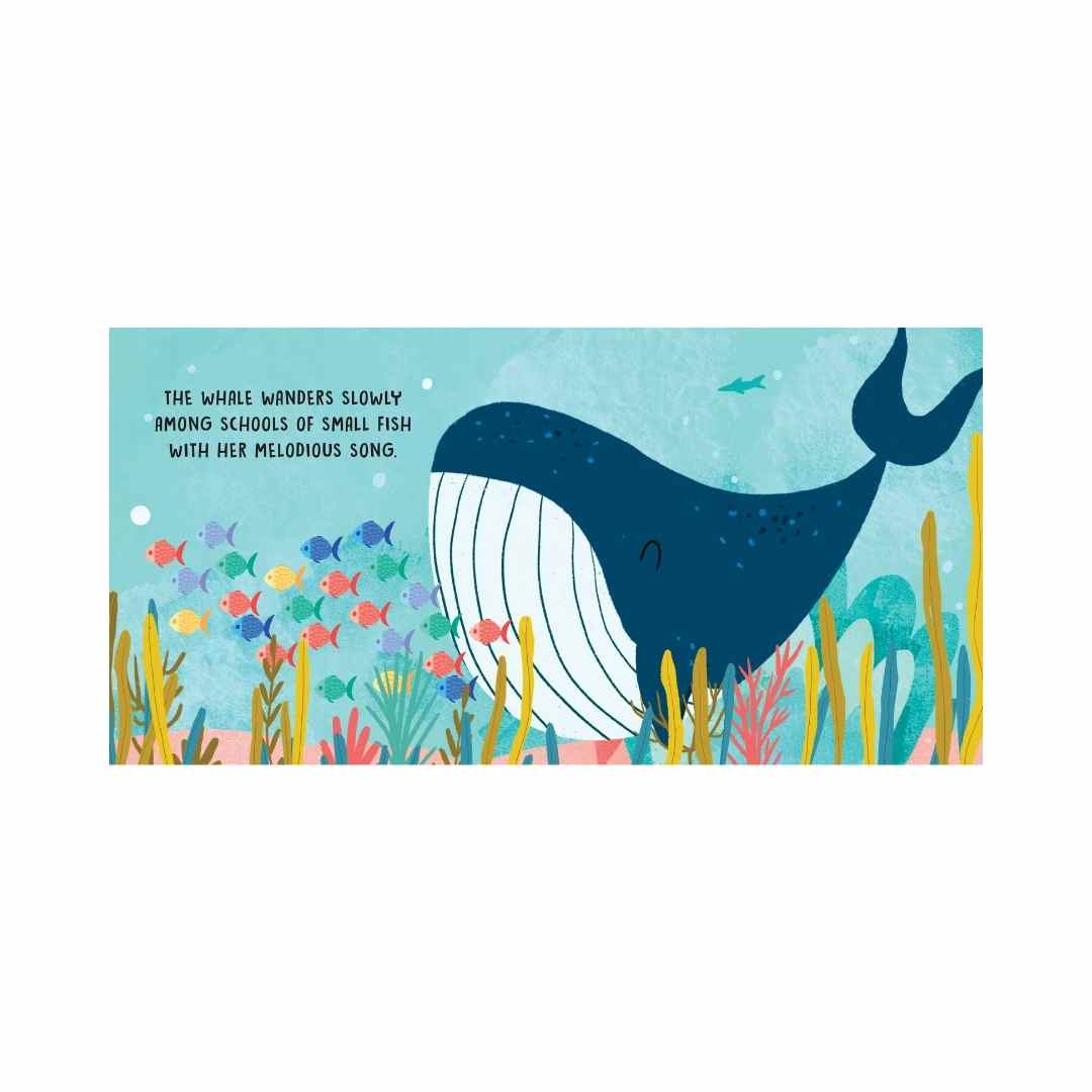 Sweet Sound Book | The Sea