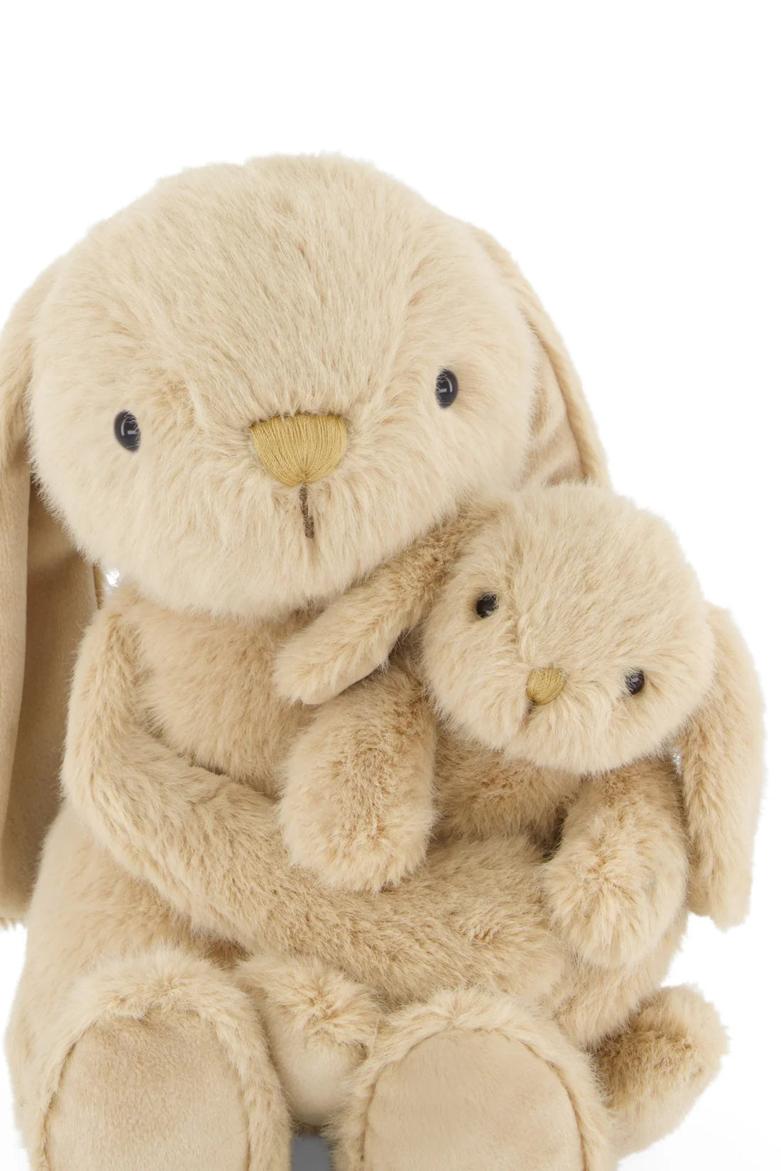 Snuggle Bunnies | Frankie The Hugging Bunny | Caramel