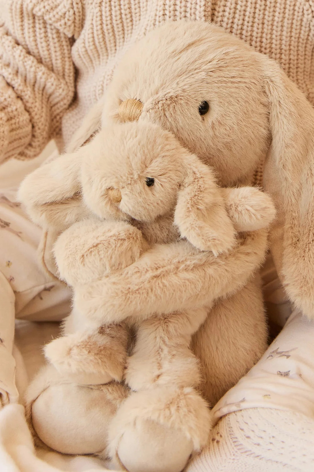 Snuggle Bunnies | Frankie The Hugging Bunny | Caramel