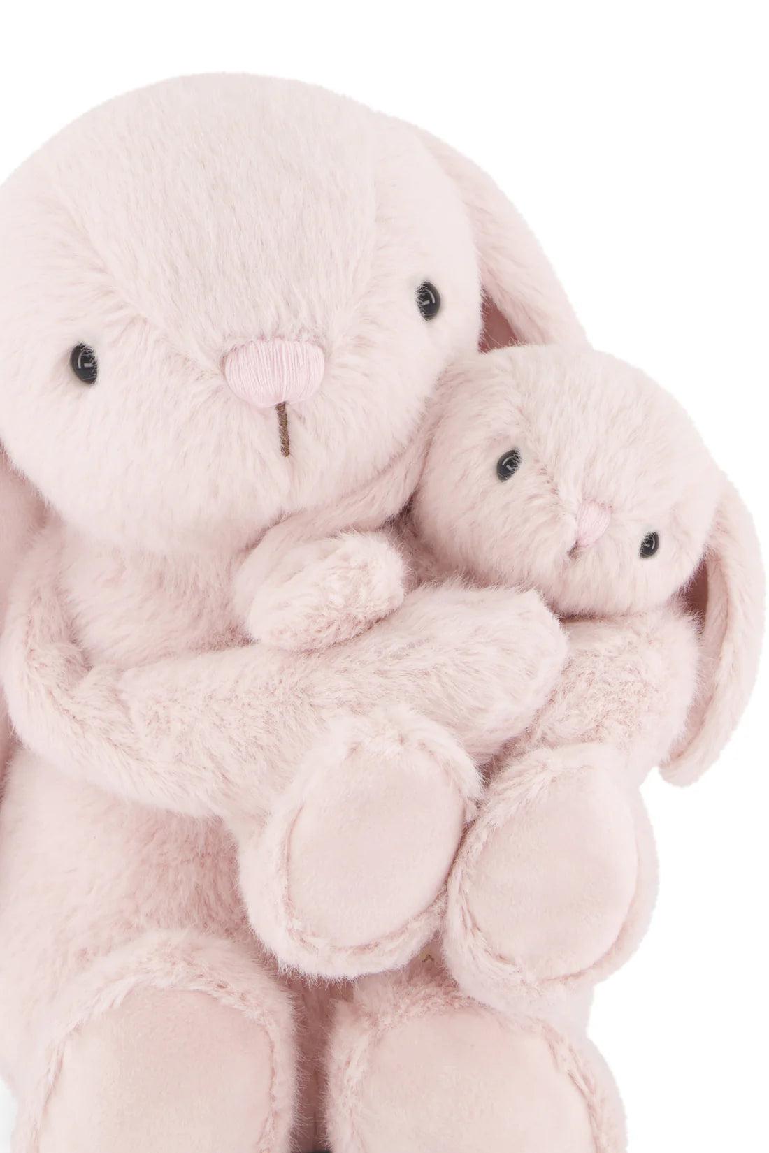 Snuggle Bunnies | Frankie The Hugging Bunny | Blossom