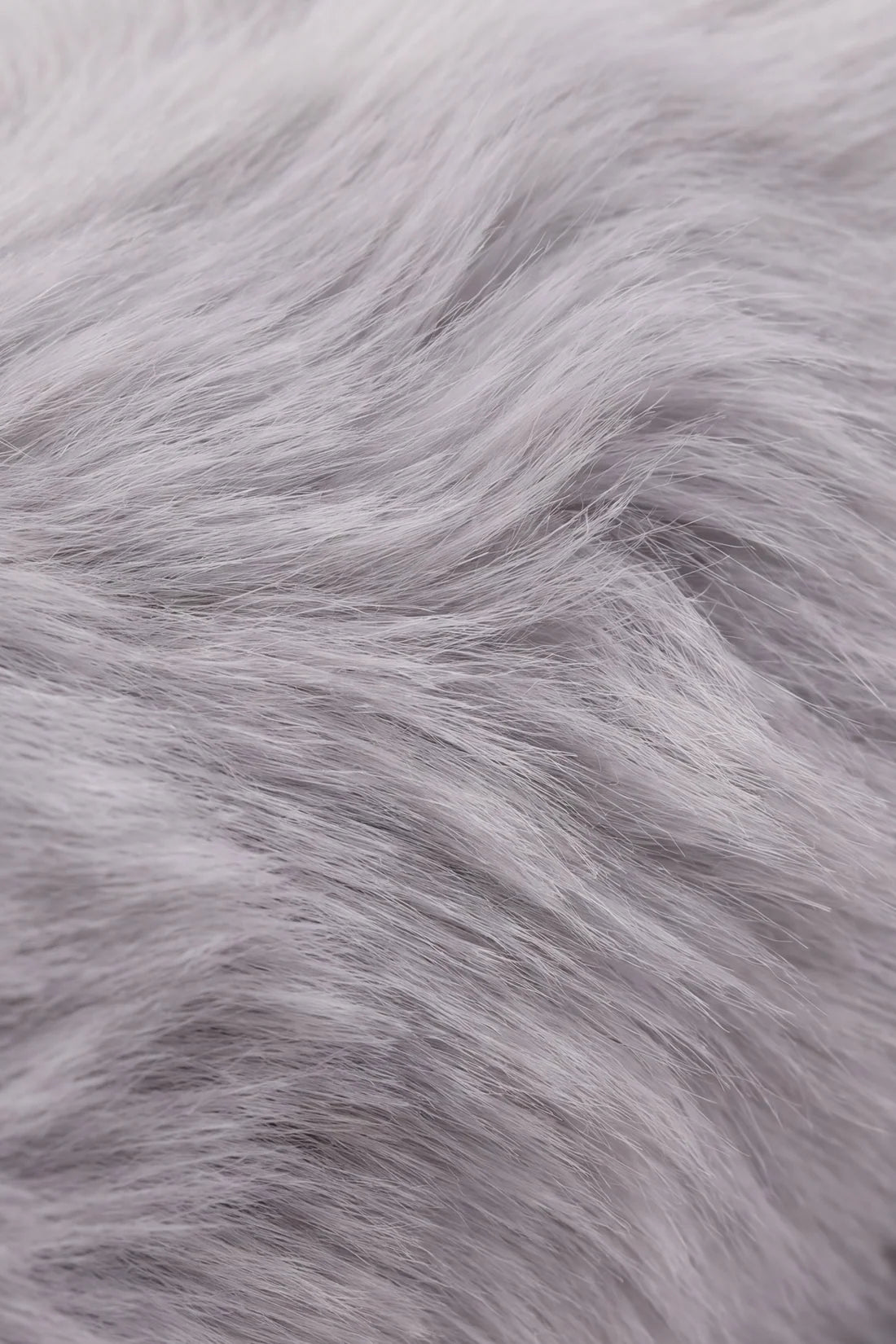 Snuggle Bunnies | Moon the Cat | Soft Grey