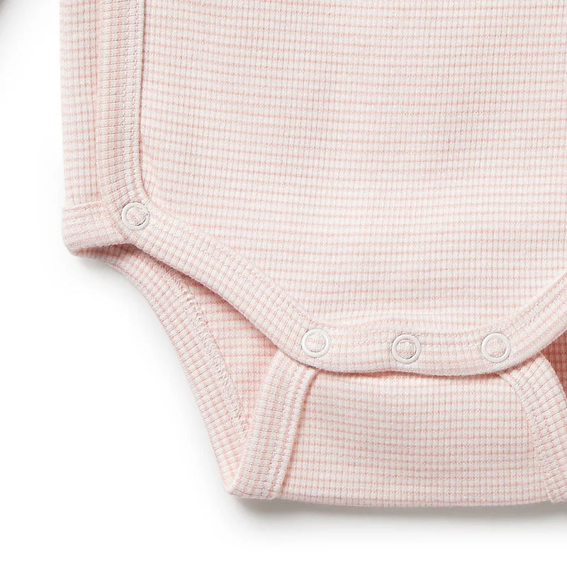 Organic Stripe Rib Bodysuit | Kimono | Cantaloupe