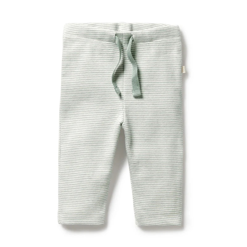 Organic Stripe Rib Legging | Fern