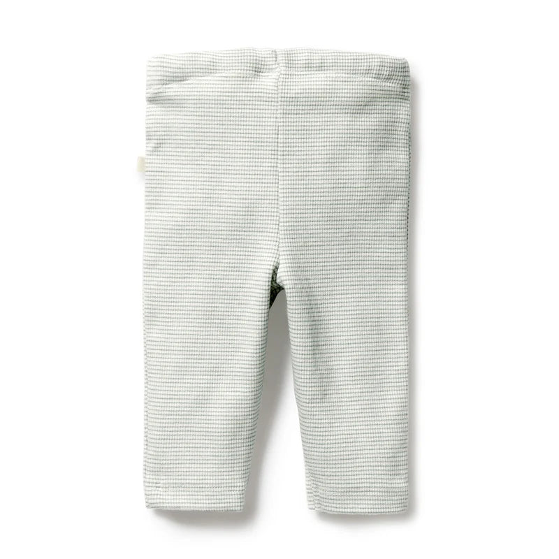 Organic Stripe Rib Legging | Fern