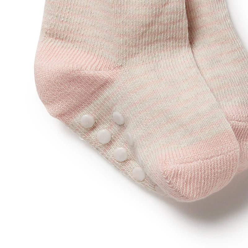 Organic 3 pack Socks | Cantaloupe