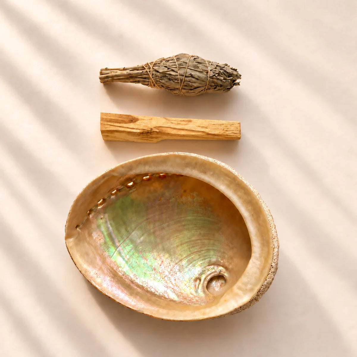 Large Abalone Smudge Bowl | Lux