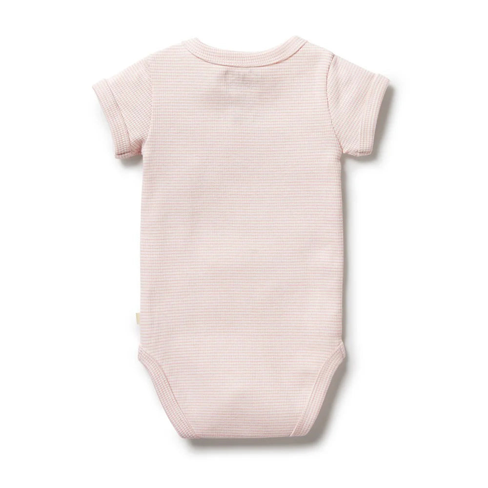 Organic Stripe Rib Bodysuit | Cantaloupe