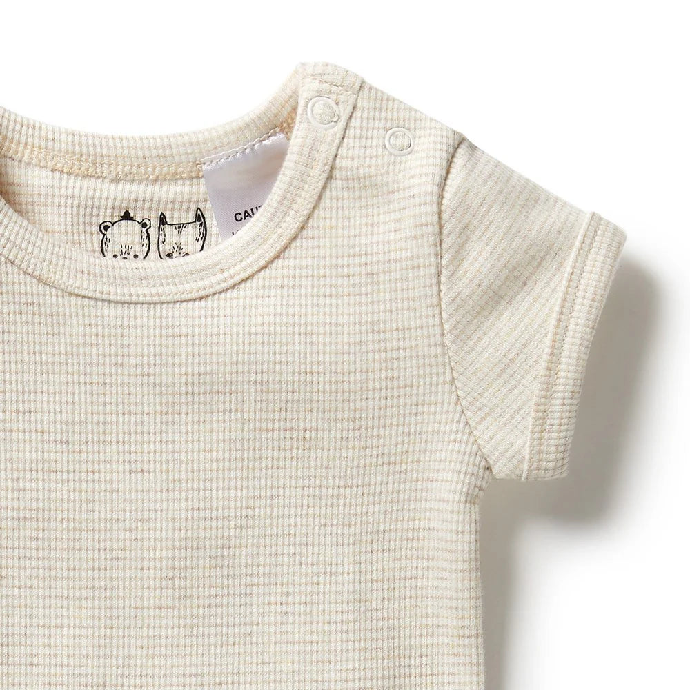 Organic Stripe Rib Bodysuit | Oatmeal