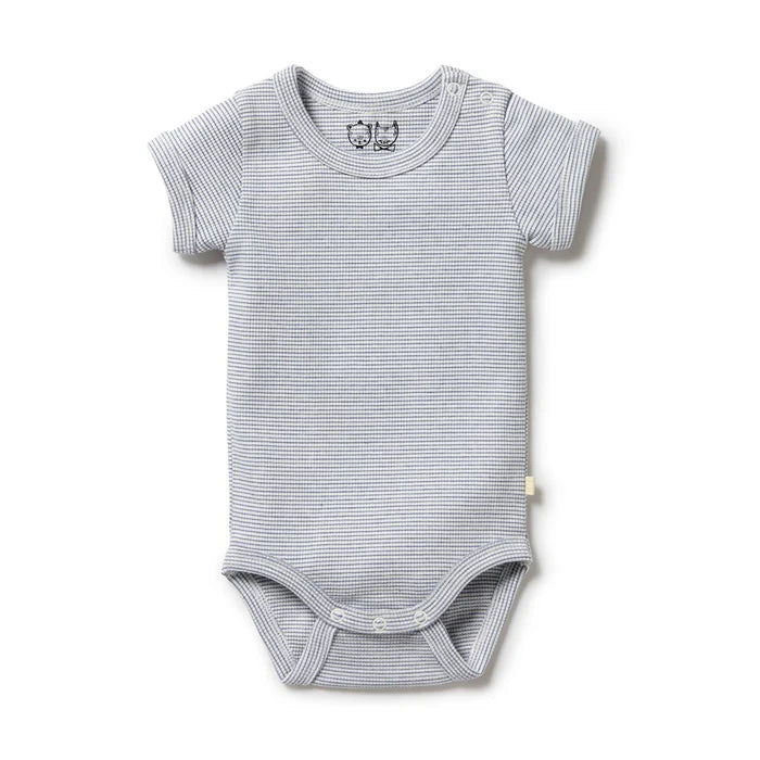 Organic Stripe Rib Bodysuit | Rain Drop
