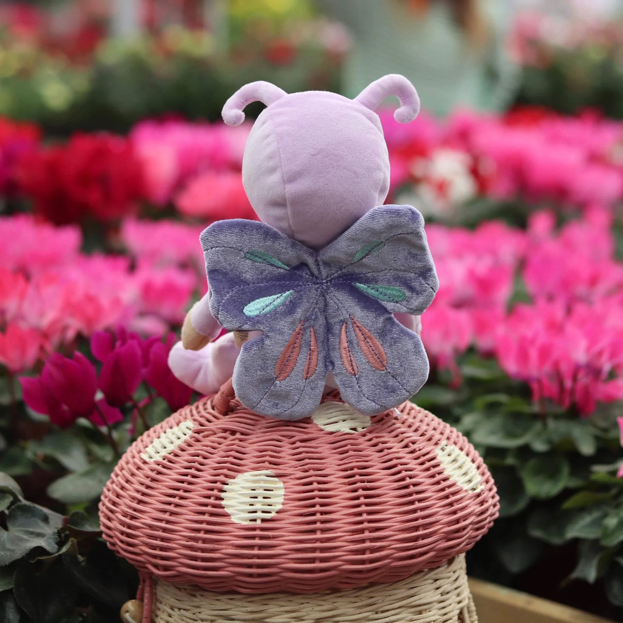 Dinky Dinkums | Betty Butterfly