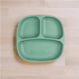 Replay Feeding Divided Plates | Earth