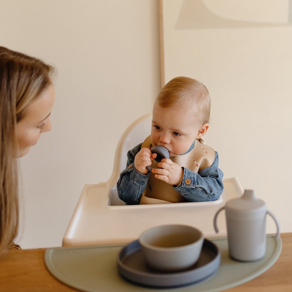 Silicone Fresh Food Feeder 2-pack