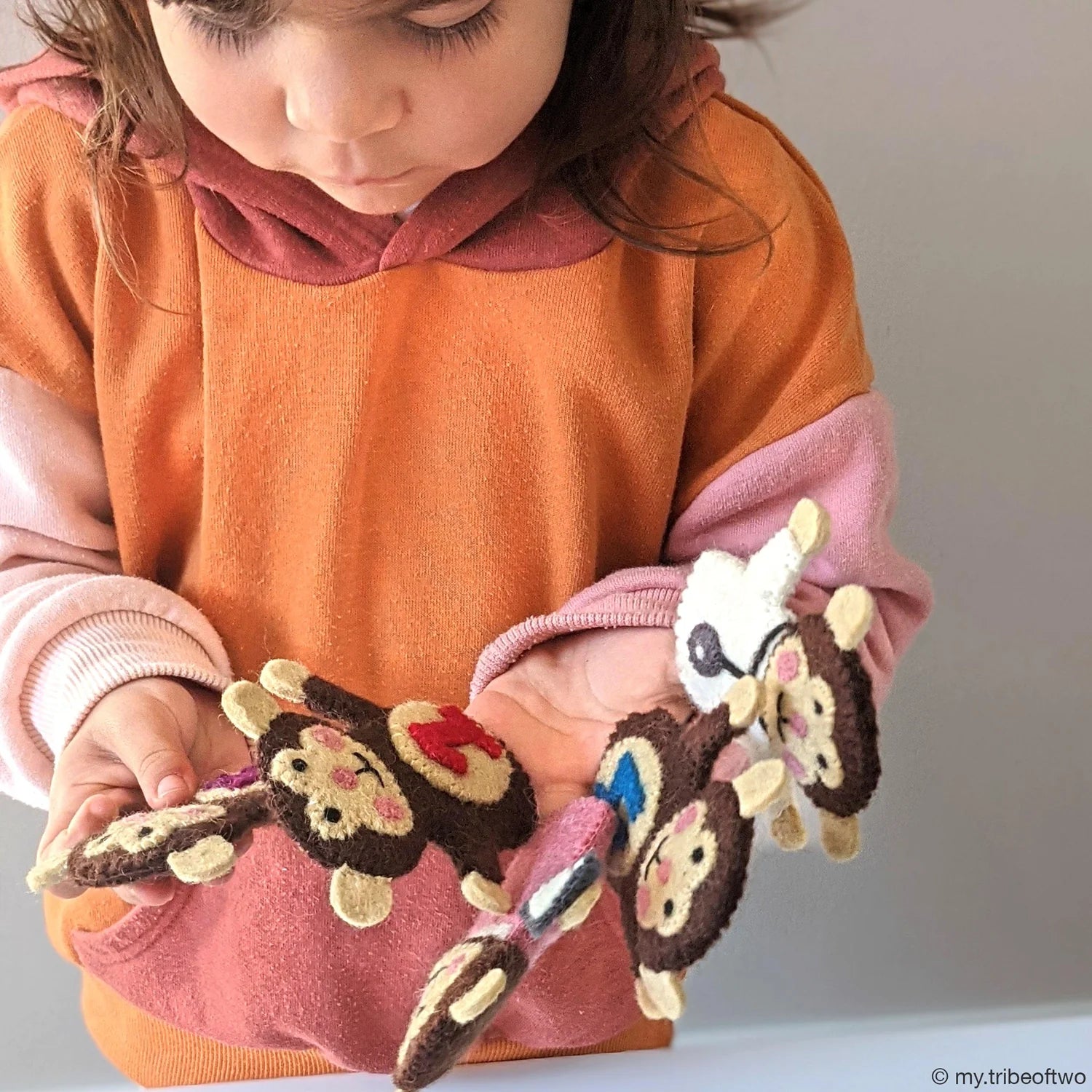 Felt Finger Puppets | 5 Little Monkeys
