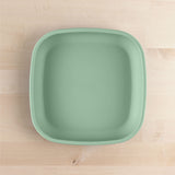 Replay Feeding Flat Plates | Earth