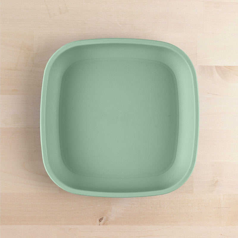 Replay Feeding Flat Plates | Earth