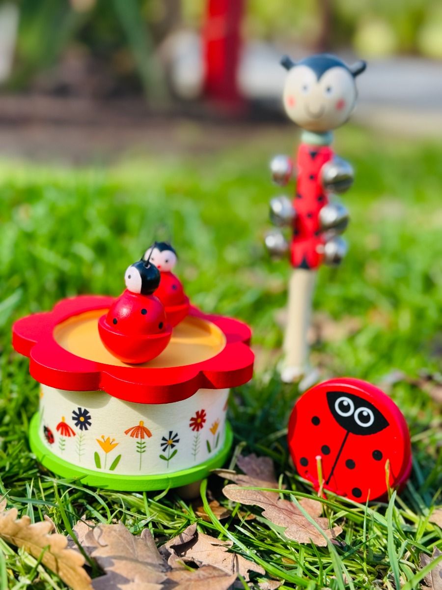 Music Twin Ladybug
