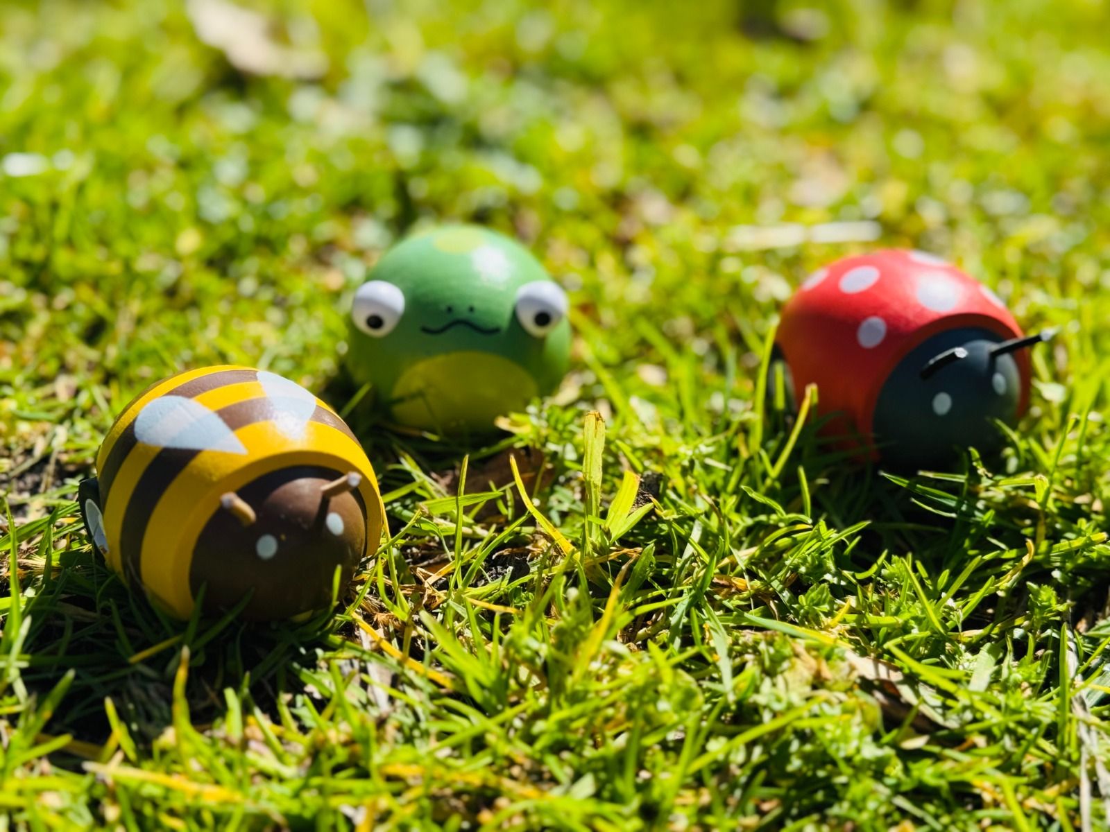 Wooden Pull Back Toy