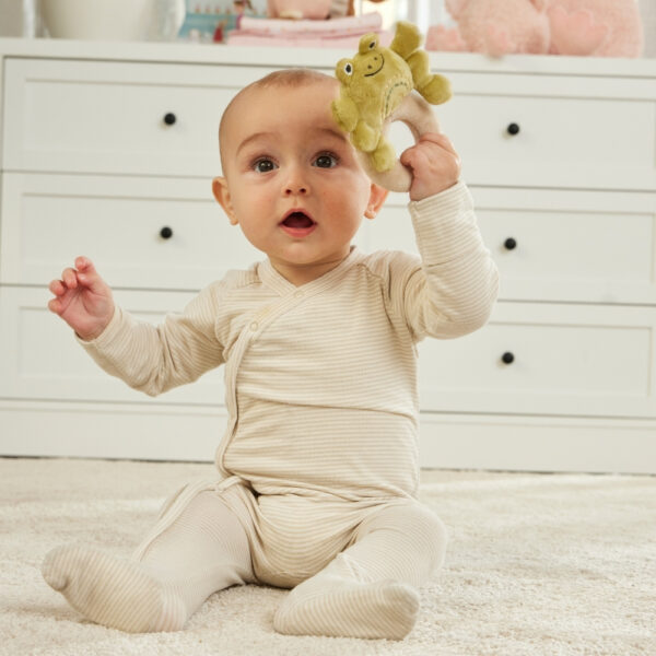 Fred The Frog Rattle