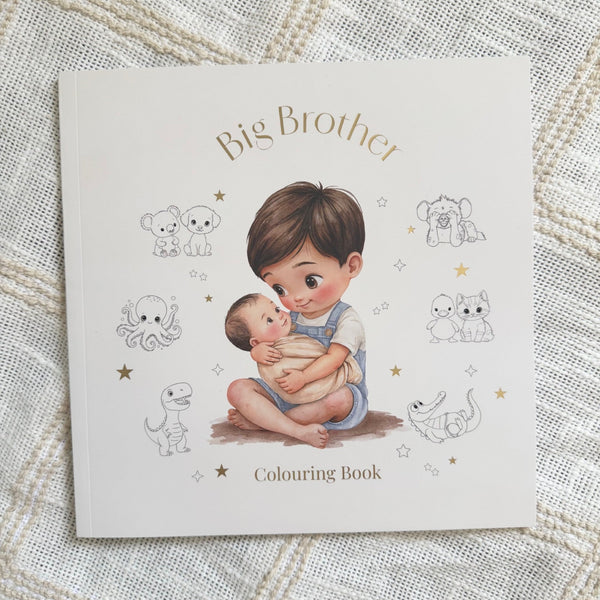 Colouring in Book | Big Brother