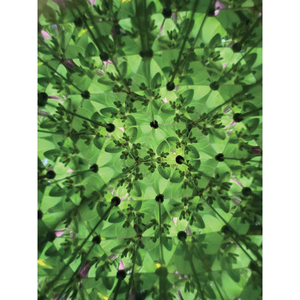 Great Outdoors | Kaleidoscope