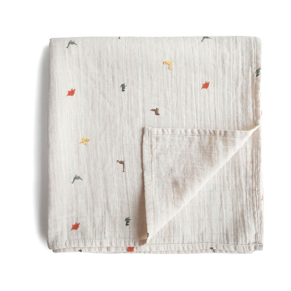 Organic Cotton Swaddle | Dinosaurs